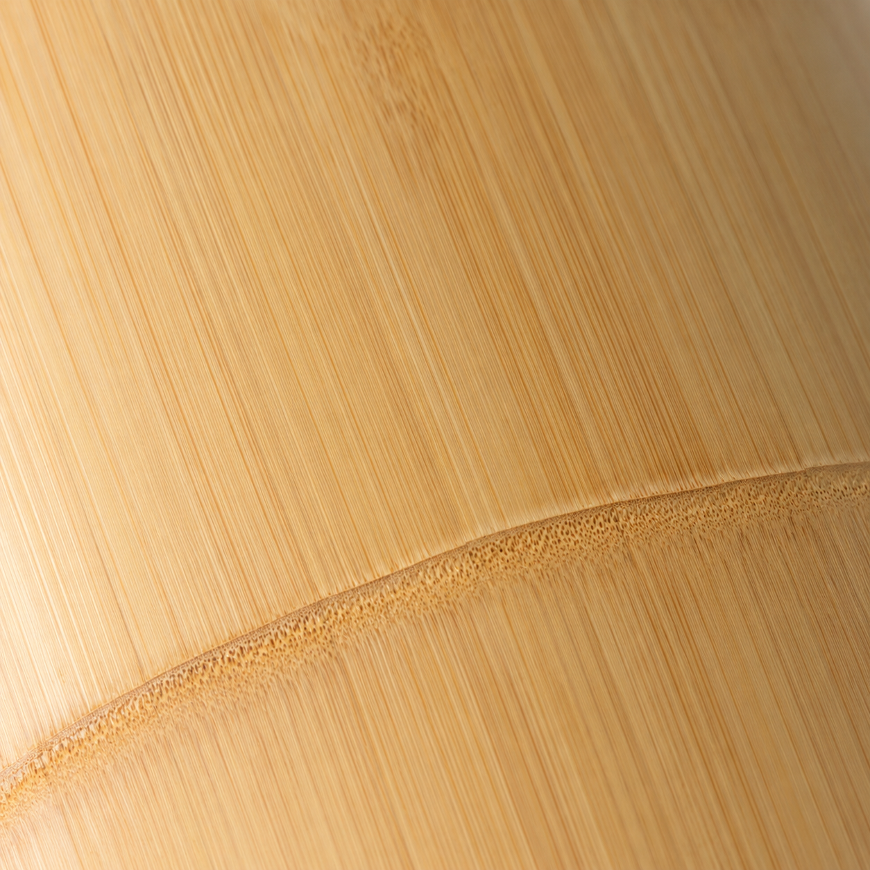 Bamboo material sample